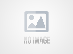 最高法入库案例：不得在执行程序中直接追加继受股东为被执行人，债权人应另案起诉！